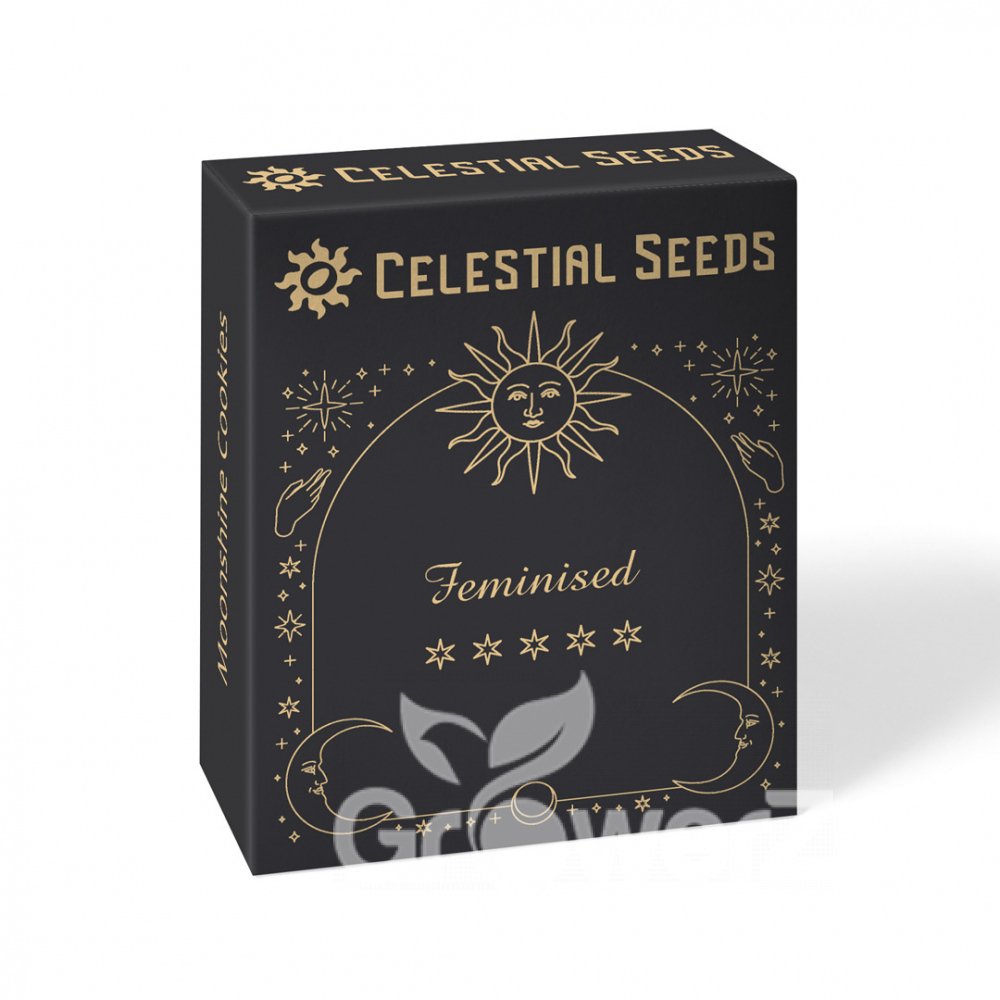 Motor Breath Fem.